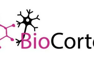 BioCorteX obtiene 5 millones de dólares de financiación liderada por Sofinnova Partners y Hoxton Ventures para desentrañar las interacciones entre fármacos y bacterias