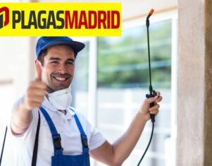 Plagas Madrid explica los factores a considerar al elegir una empresa de control de plagas