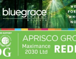 Aprisco Energy Industries se une a Maximance 2030 LTD y BlueGrace Energy Bolivia para Iniciativas REDD+